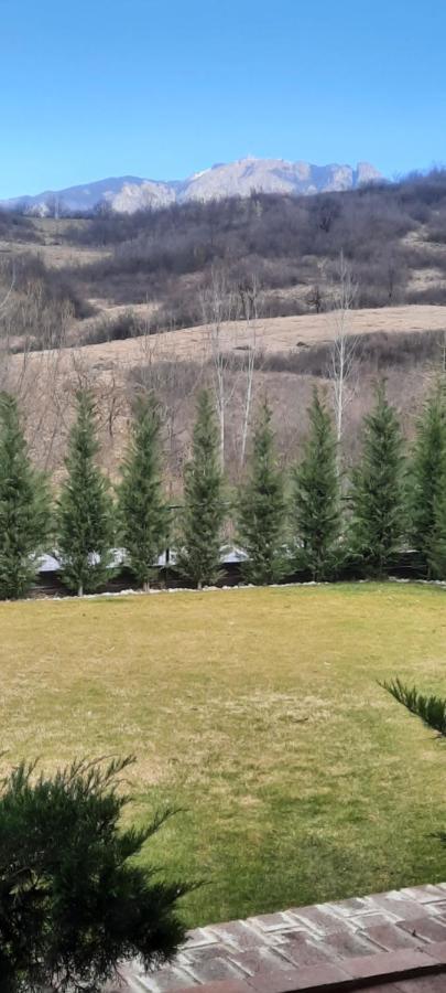 Călimăneşti View Cozia 빌라 외부 사진